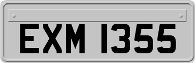 EXM1355