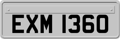 EXM1360