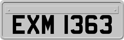 EXM1363