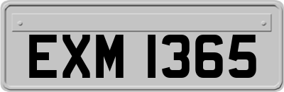 EXM1365