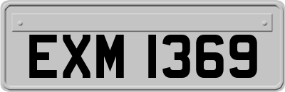 EXM1369