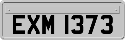 EXM1373