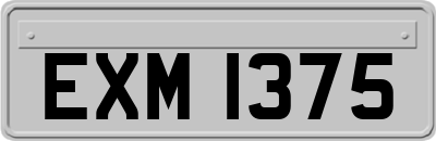 EXM1375