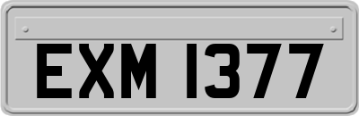 EXM1377