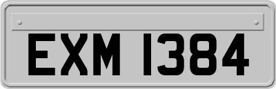 EXM1384