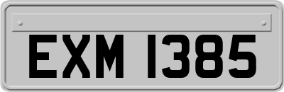 EXM1385
