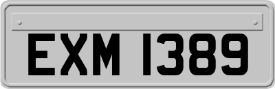 EXM1389