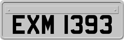 EXM1393
