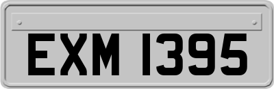 EXM1395