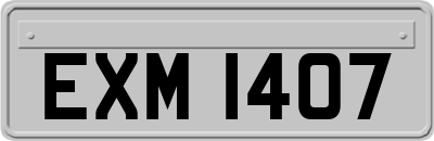 EXM1407