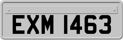 EXM1463
