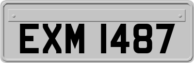 EXM1487