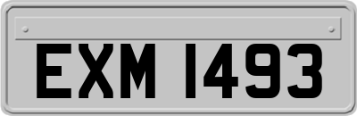 EXM1493