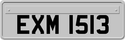 EXM1513
