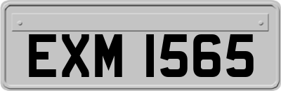 EXM1565