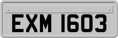 EXM1603