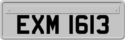 EXM1613