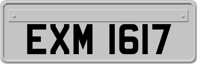 EXM1617