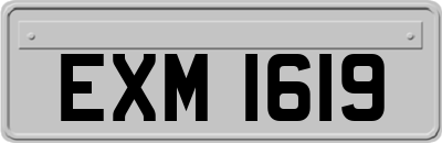 EXM1619