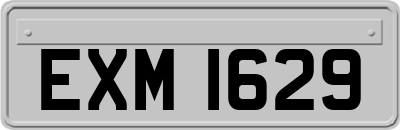 EXM1629