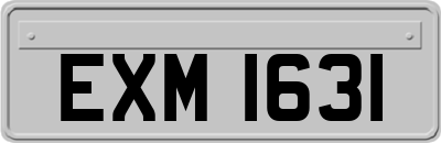 EXM1631