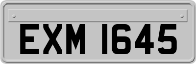 EXM1645