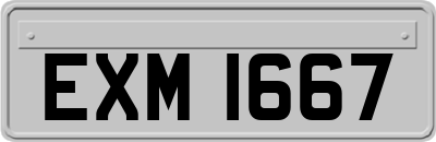 EXM1667