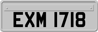 EXM1718