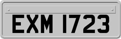 EXM1723