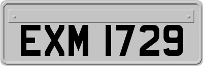 EXM1729