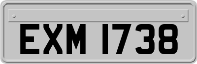 EXM1738