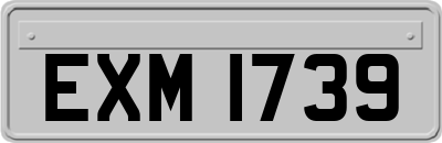 EXM1739