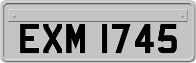 EXM1745