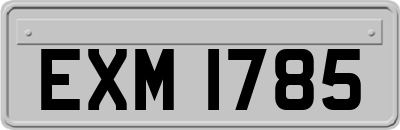 EXM1785