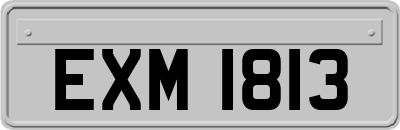 EXM1813