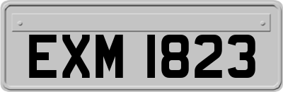 EXM1823