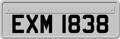 EXM1838
