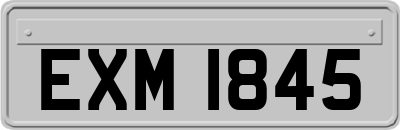 EXM1845