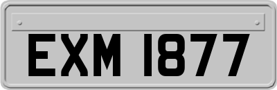EXM1877