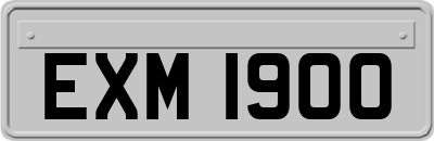 EXM1900