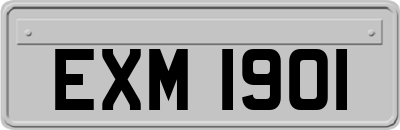 EXM1901