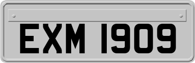 EXM1909