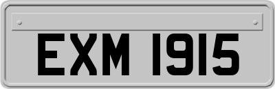 EXM1915