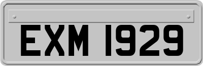 EXM1929