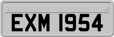 EXM1954