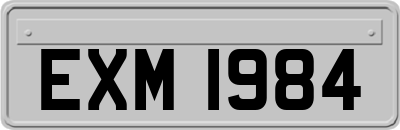 EXM1984