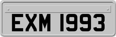 EXM1993