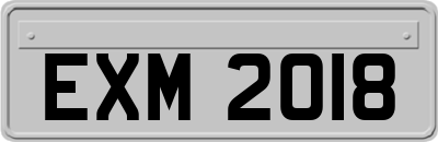 EXM2018