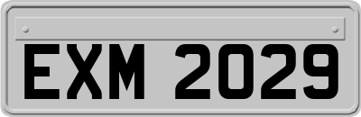 EXM2029