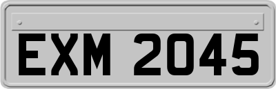 EXM2045